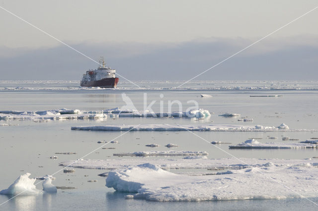 Spitsbergen