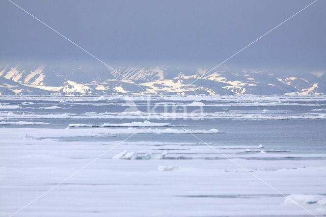 Spitsbergen