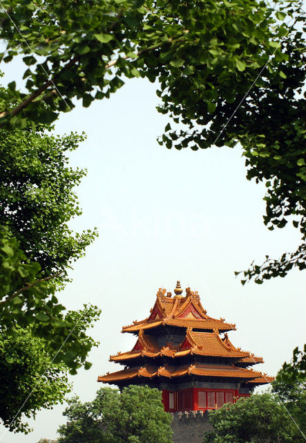 Forbidden City