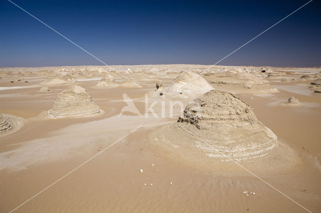 White Desert National Park