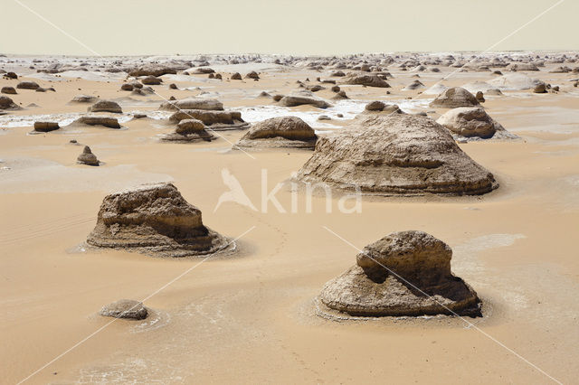 White Desert National Park