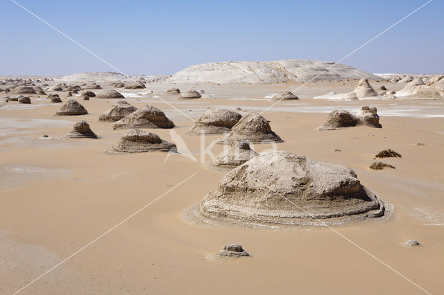 White Desert National Park