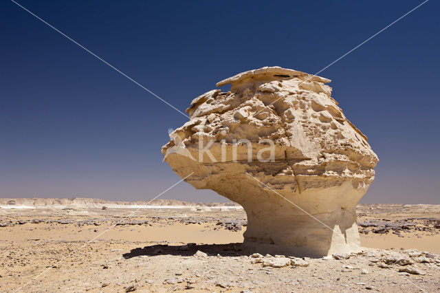 White Desert National Park