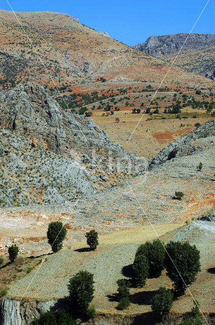 Anatolia