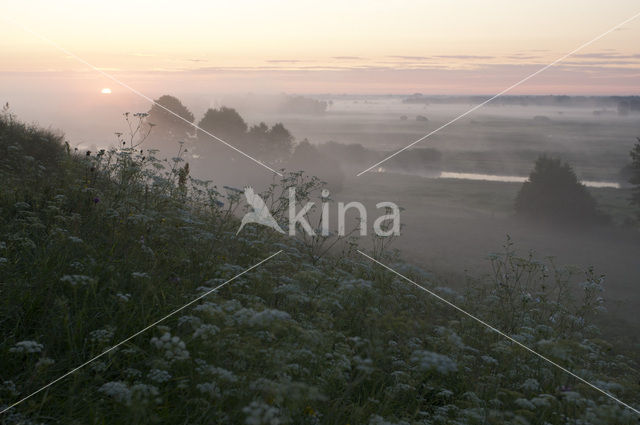 Biebrza National Park