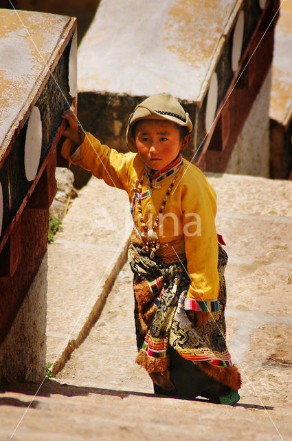 Gandan Sumtseling Monastery