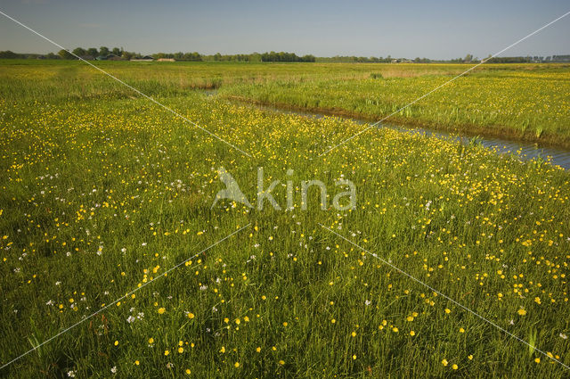 Haulerpolder