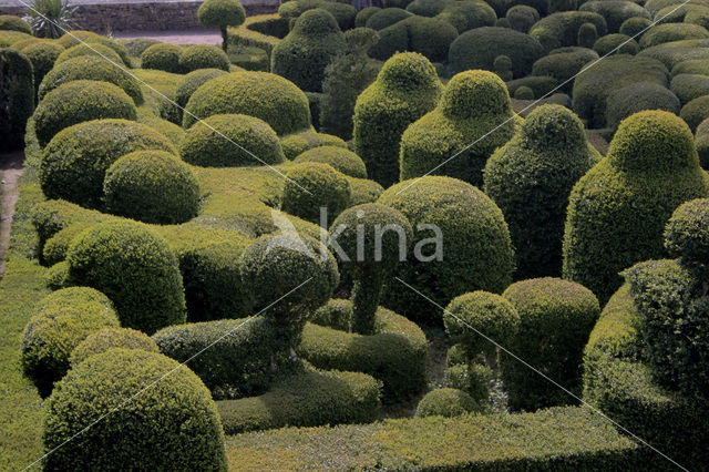 Marqueyssac Gardens