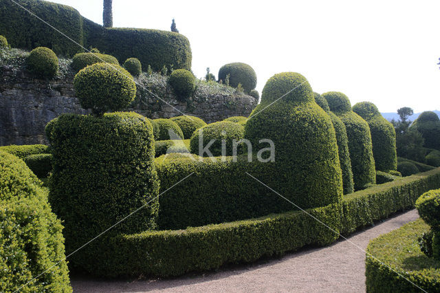 Jardins de Marqueyssac