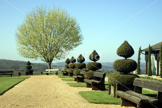 Les Jardins du Manoir D’ Eyrignac