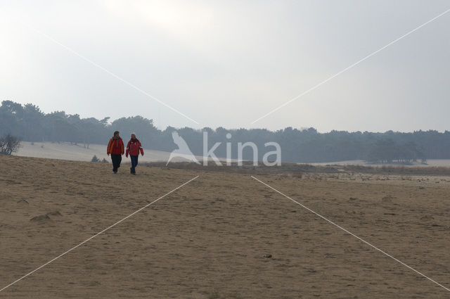 National Park Loonse en Drunense Duinen