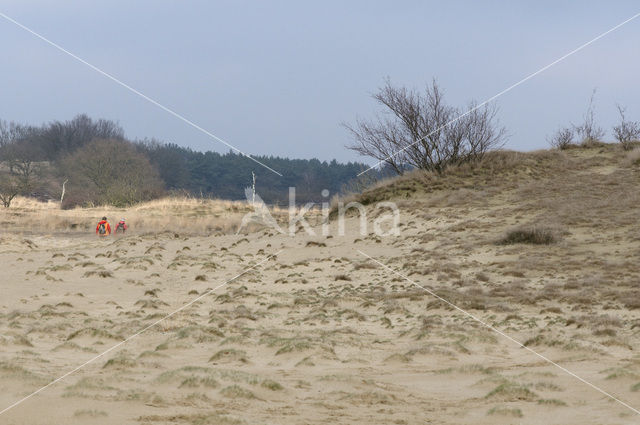 National Park Loonse en Drunense Duinen