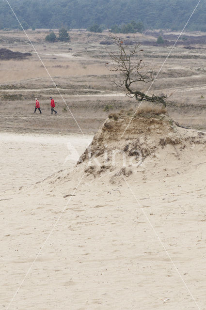 Nationaal Park Loonse en Drunense Duinen