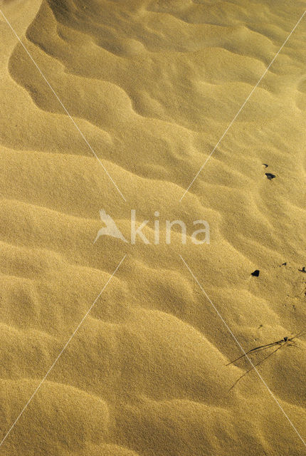 National Park Loonse en Drunense Duinen