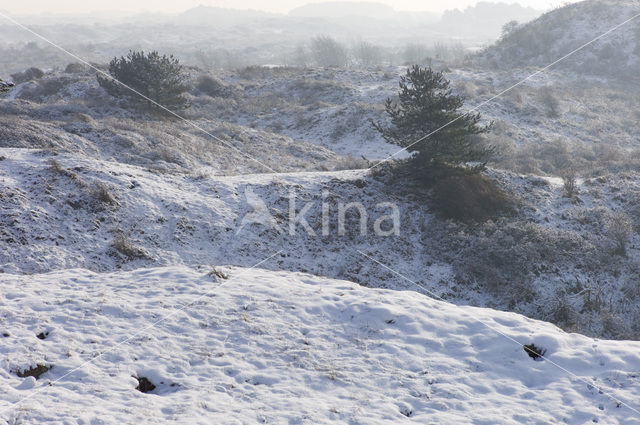 Nationaal Park Zuid-Kennemerland