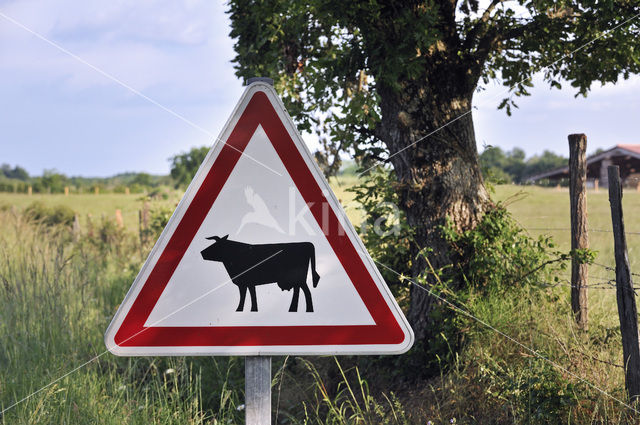 Parc naturel regional de La Brenne