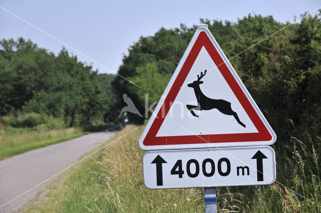 Parc naturel regional de La Brenne