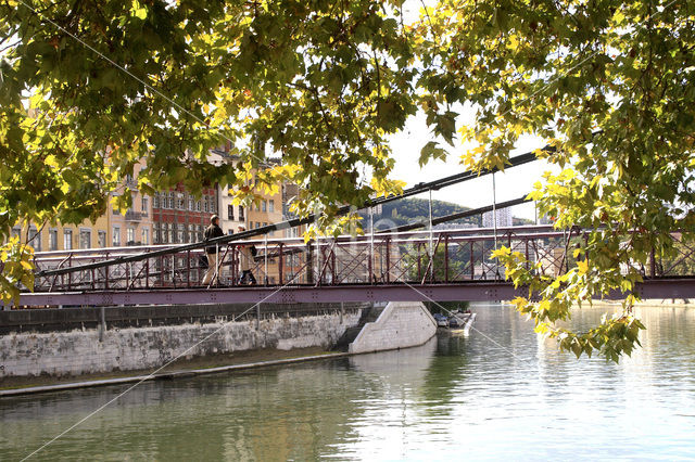 Saone