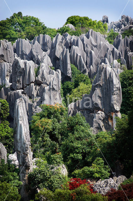 Shilin National Park