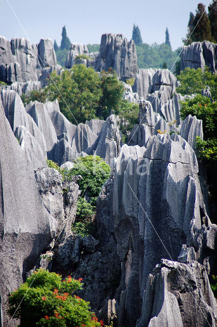 Shilin National Park