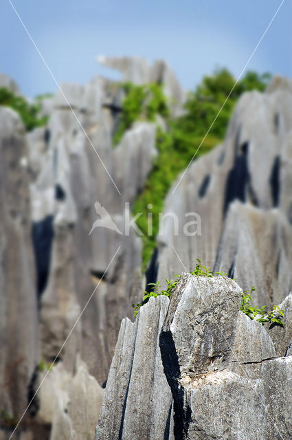 Shilin National Park