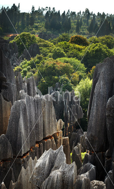 Shilin National Park