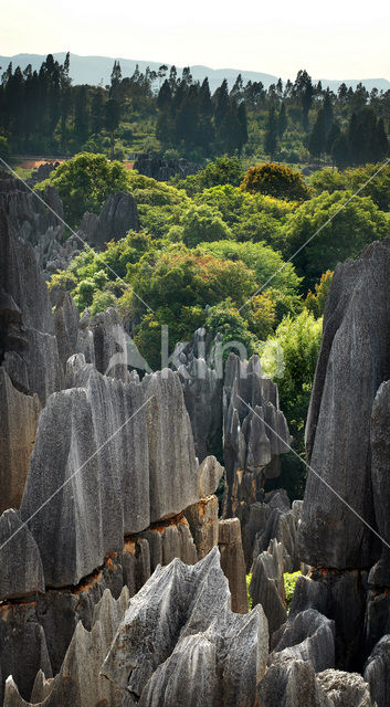 Shilin National Park