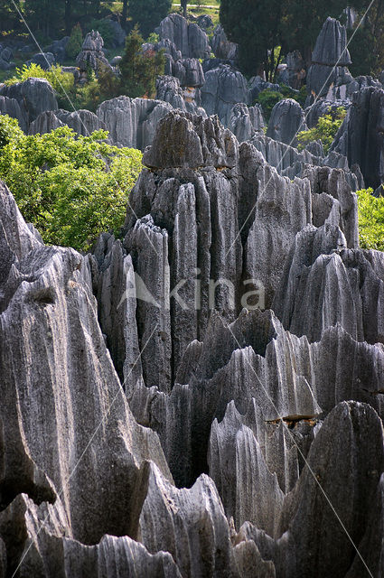 Shilin National Park