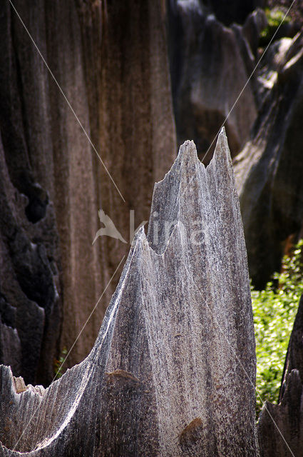 Shilin National Park