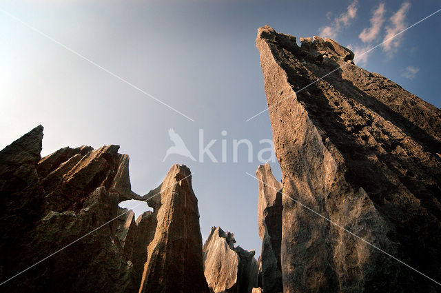 Shilin National Park