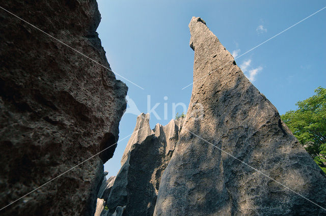 Shilin National Park