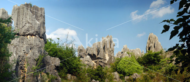 Shilin National Park