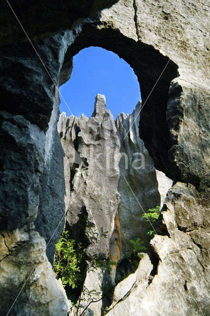 Shilin National Park