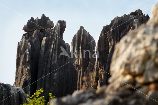 Shilin National Park