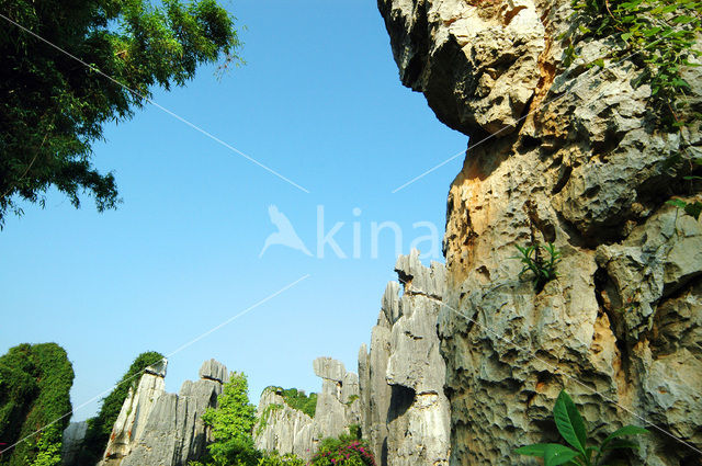 Shilin National Park