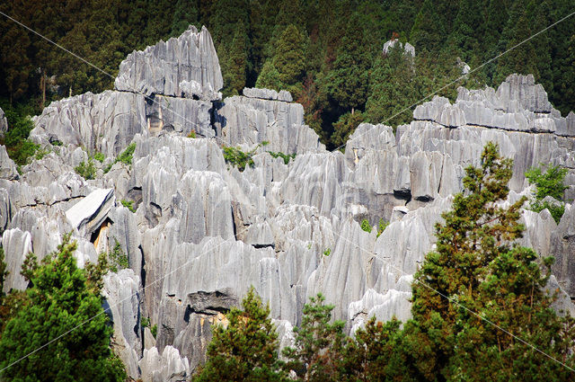 Shilin National Park