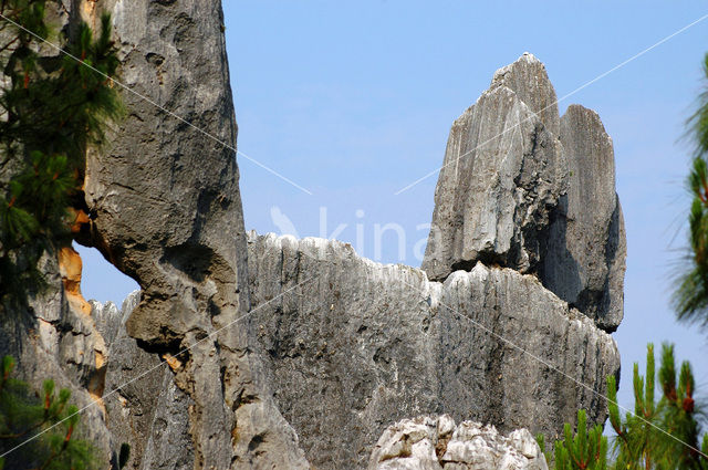 Shilin National Park