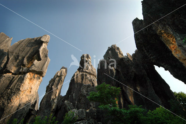 Shilin National Park