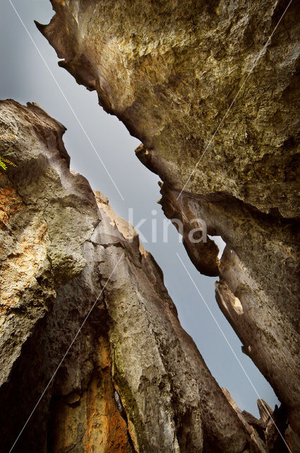 Shilin National Park