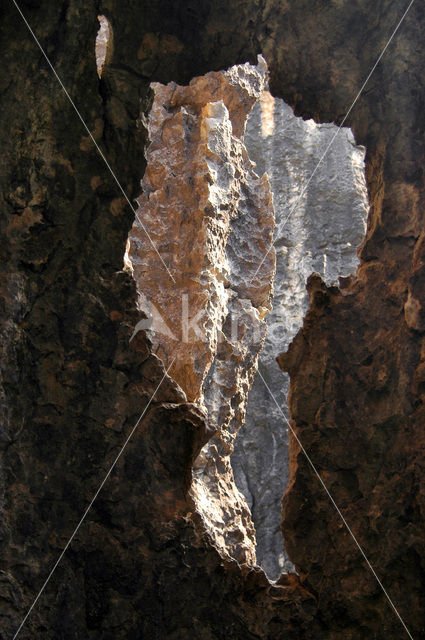 Shilin National Park