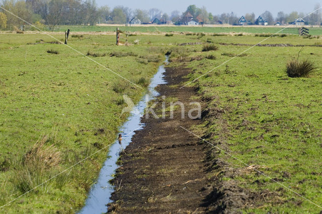 Waterland Oost