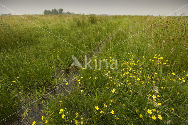 Waterland Oost