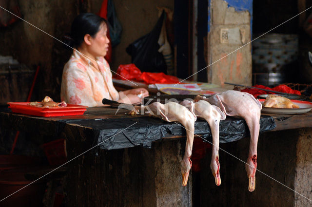 Yangshuo