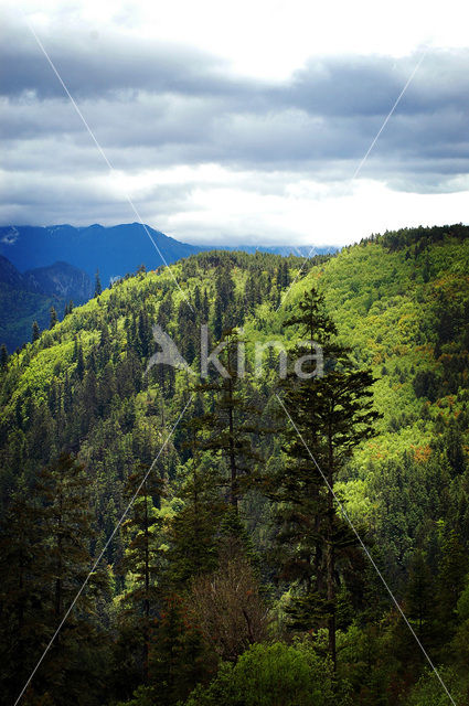 Yunnan