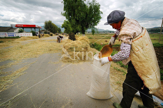 Yunnan