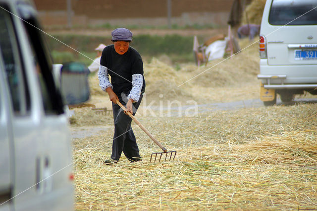 Yunnan