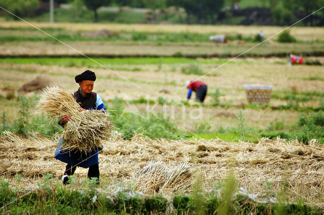 Yunnan