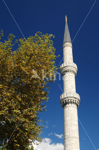 Blue Mosque