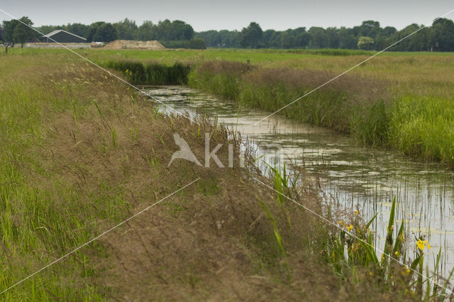 Haulerpolder