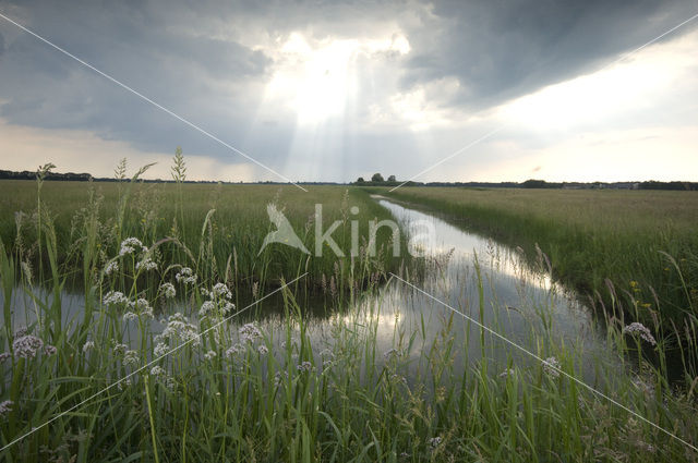 Haulerpolder